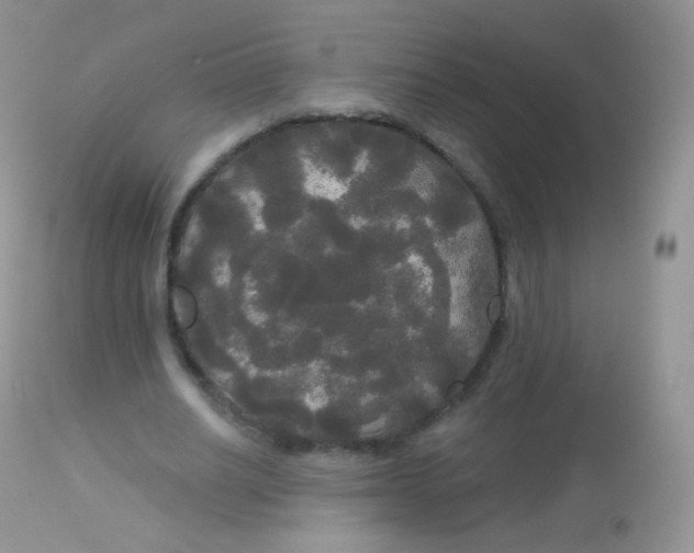 X0000113080630200909182050