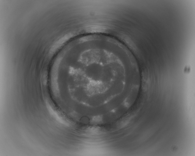 X0000113080631200909182050