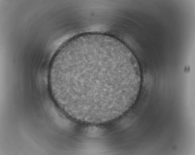 X0000113080632200909182050