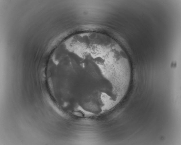 X0000113080633200909182050