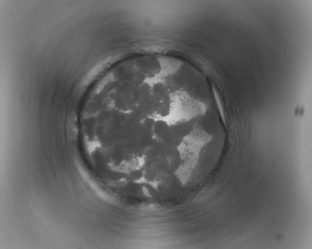 X0000113080634200909182050