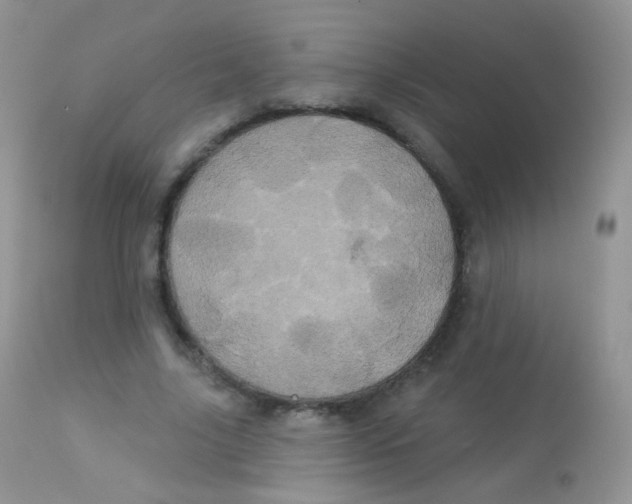 X0000113080635200909182050