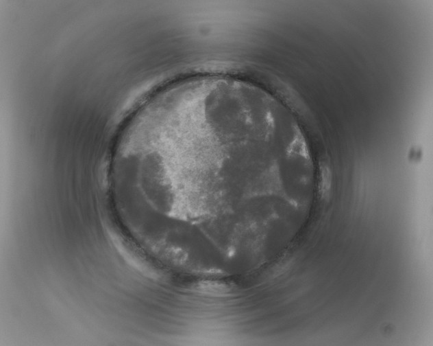 X0000113080636200909182050