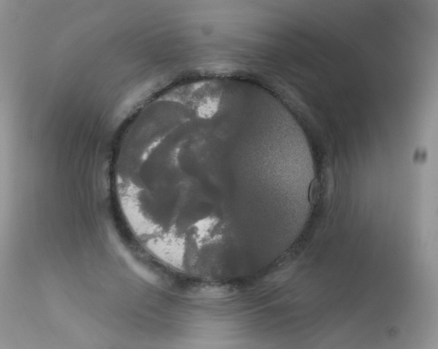 X0000113080638200909182050