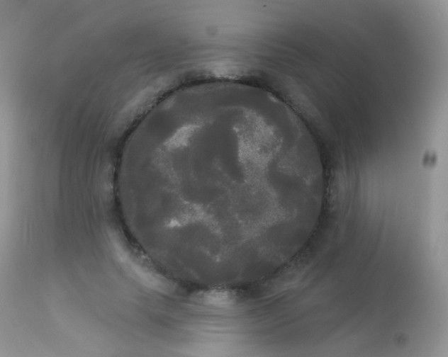 X0000113080639200909182050