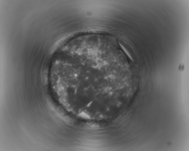 X0000113080640200909182050