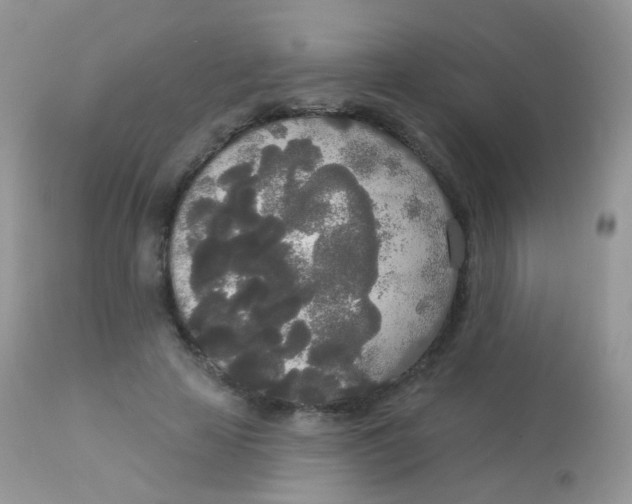 X0000113080641200909182050