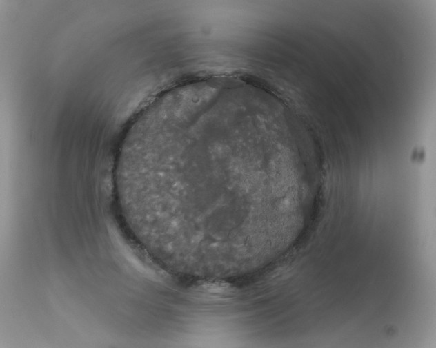 X0000113080642200909182050