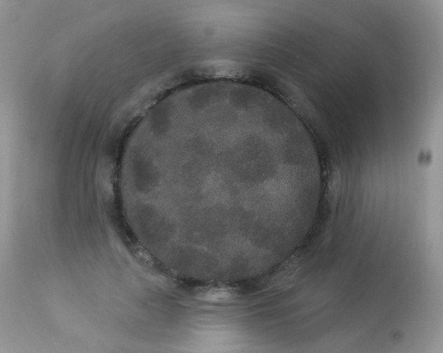 X0000113080643200909182050