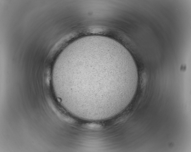 X0000113080644200909182050