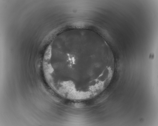 X0000113080645200909182050