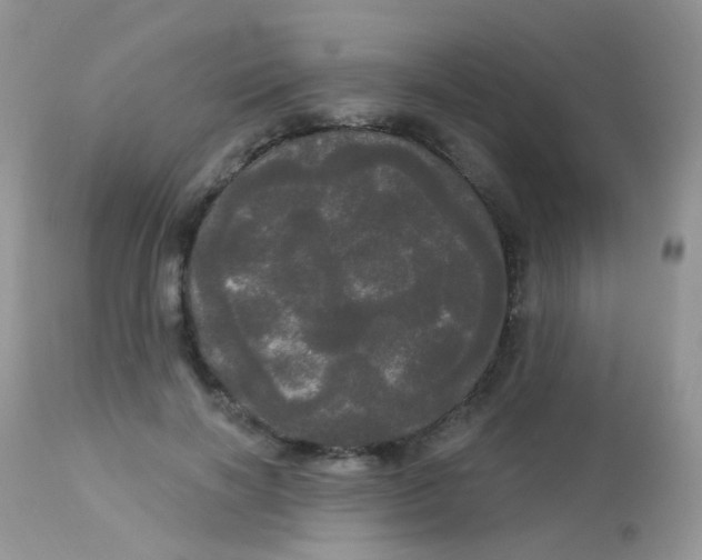 X0000113080646200909182050