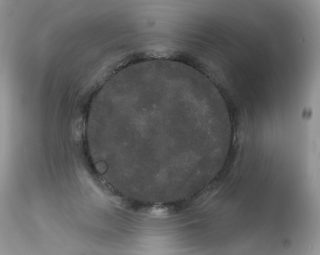 X0000113080647200909182050