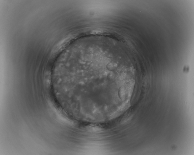 X0000113080648200909182050