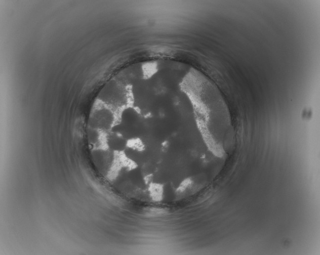X0000113080649200909182050