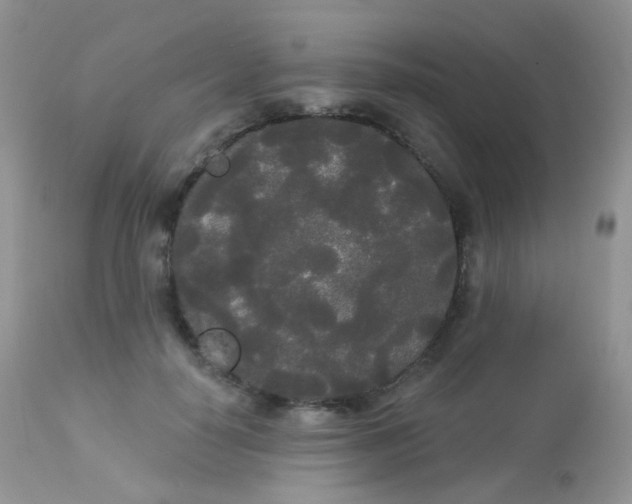 X0000113080650200909182050