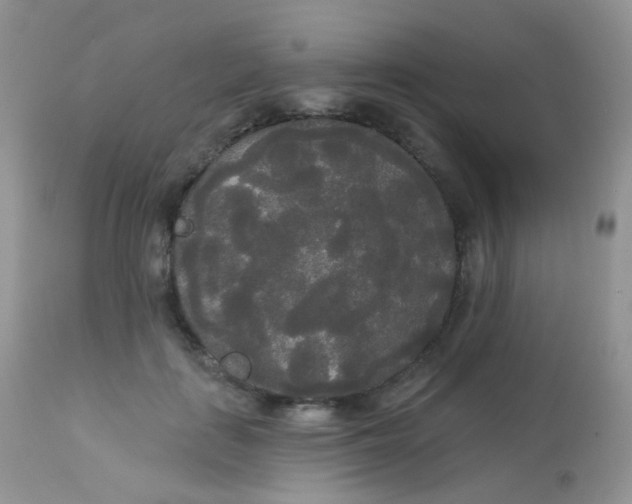 X0000113080651200909182050