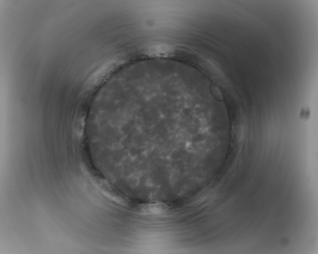 X0000113080652200909182050