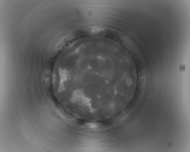 X0000113080654200909182050