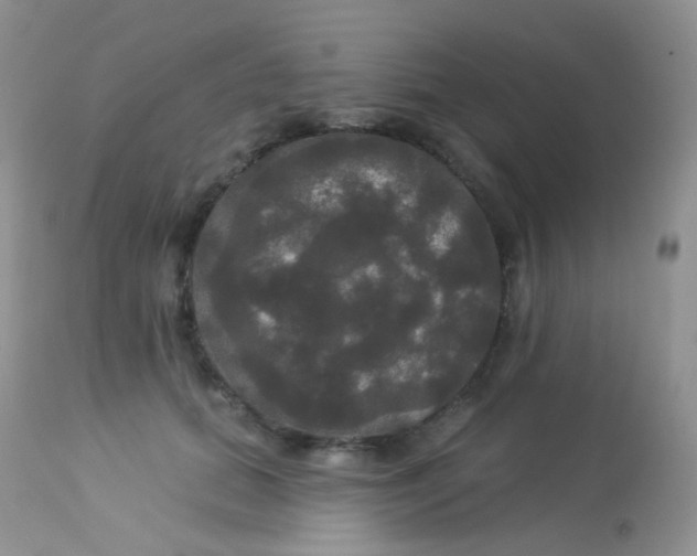 X0000113080655200909182050