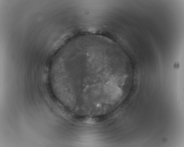 X0000113080656200909182050