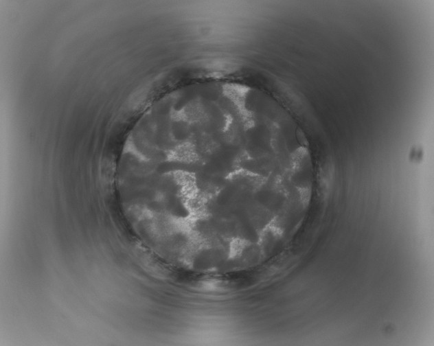 X0000113080657200909182050