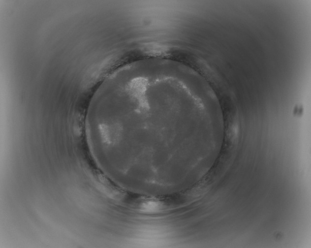 X0000113080658200909182050