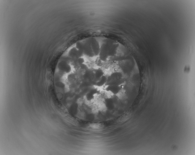 X0000113080659200909182051