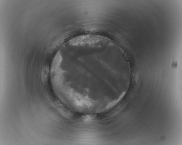 X0000113080660200909182051