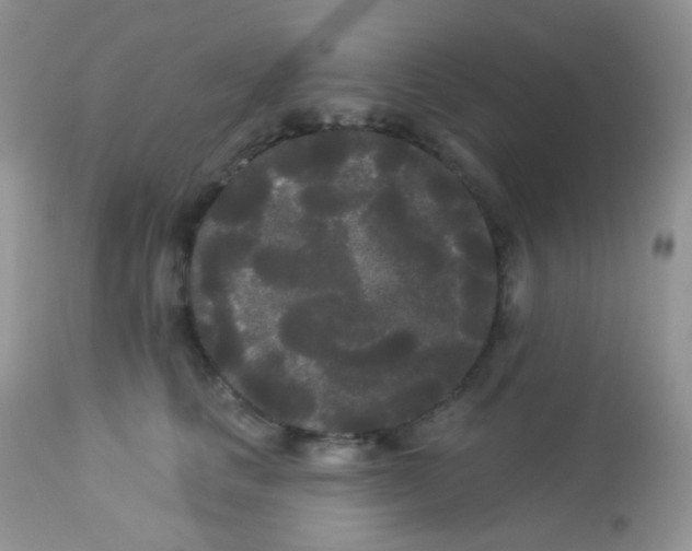 X0000113080661200909182051