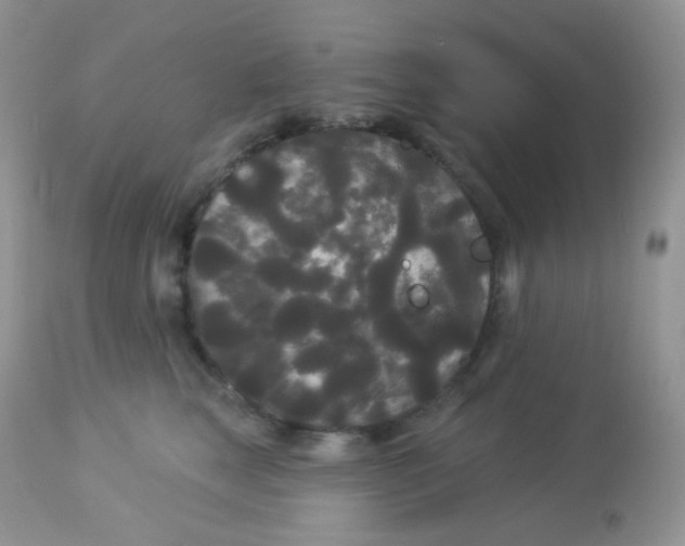 X0000113080663200909182051