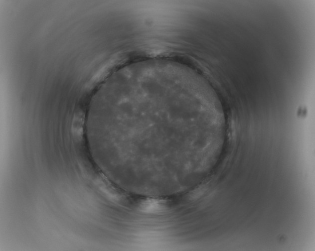 X0000113080664200909182051