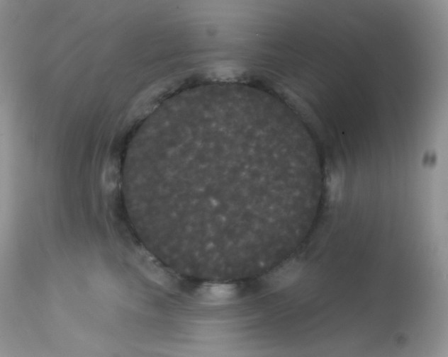 X0000113080665200909182051