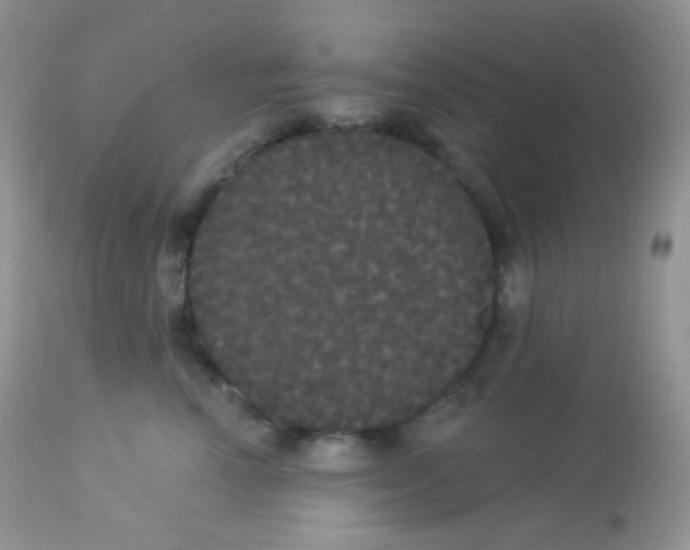 X0000113080666200909182051