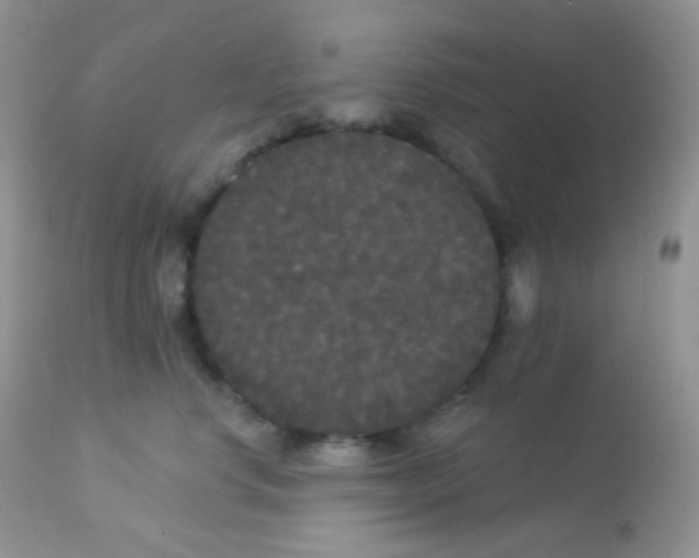 X0000113080668200909182051