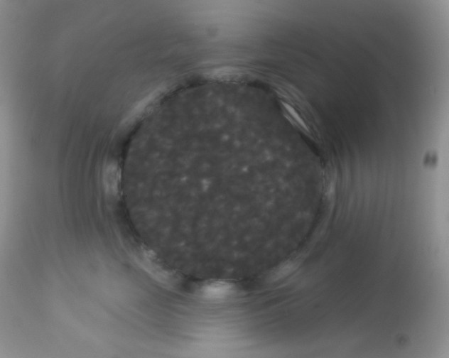 X0000113080669200909182051