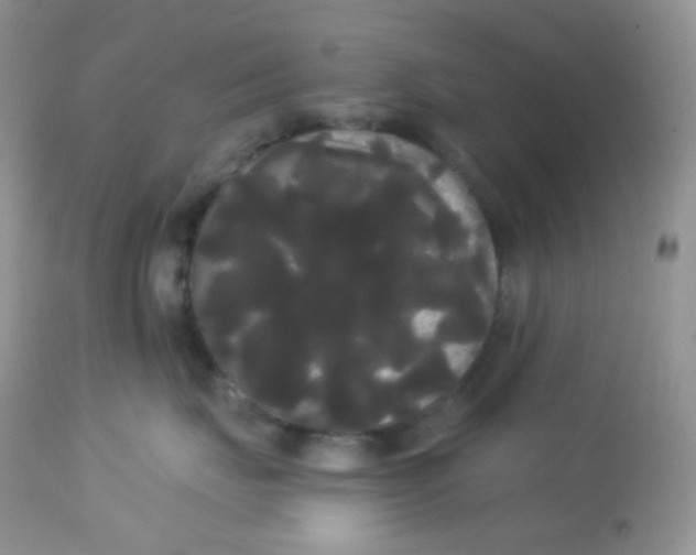 X0000113080671200909182051