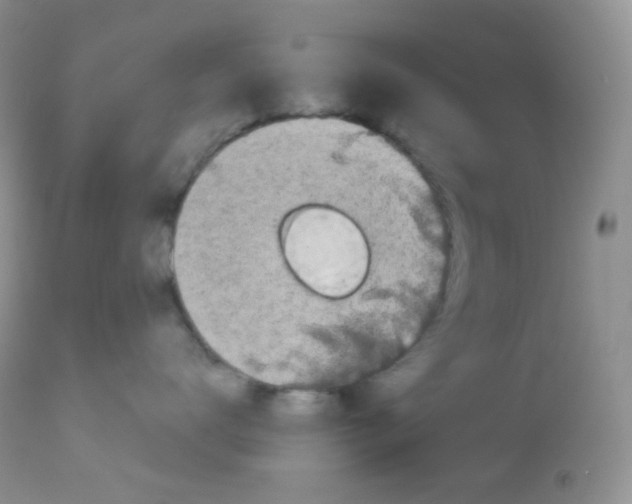 X0000113080672200909182051