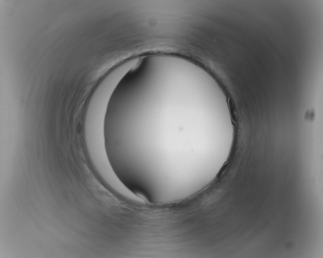 X0000113080673200909182050