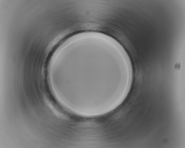 X0000113080674200909182050