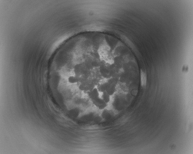 X0000113080675200909182050