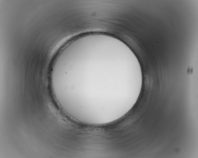 X0000113080676200909182050