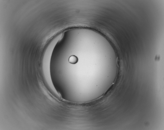 X0000113080677200909182050