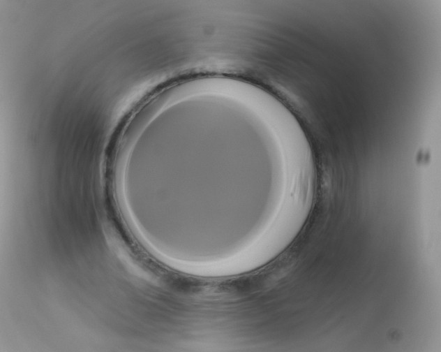 X0000113080678200909182050