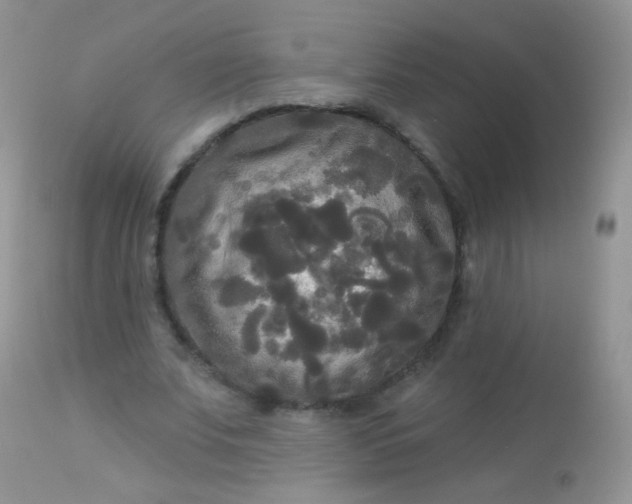 X0000113080679200909182050