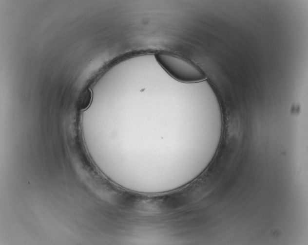 X0000113080680200909182050