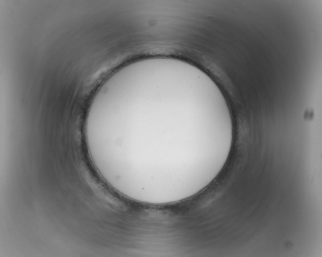 X0000113080681200909182050