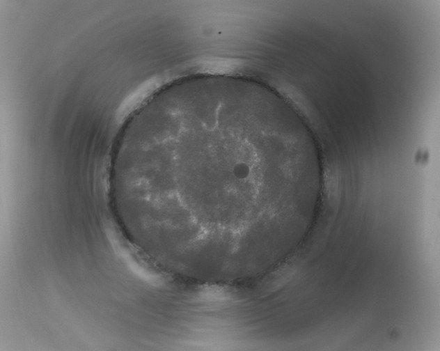 X0000113080682200909182050