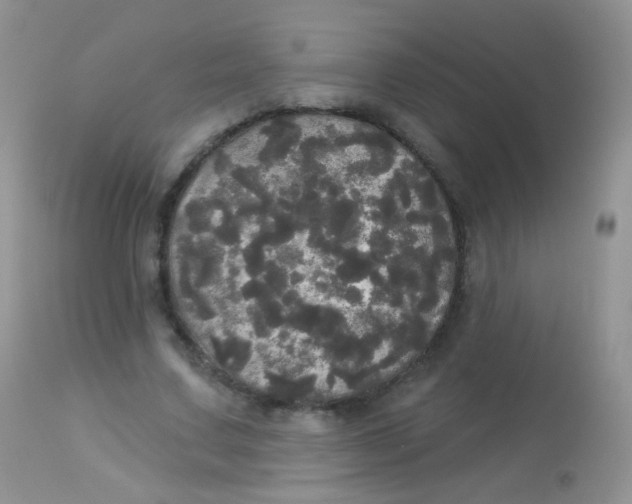 X0000113080683200909182050