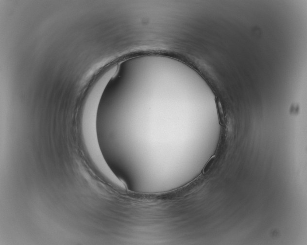 X0000113080684200909182050